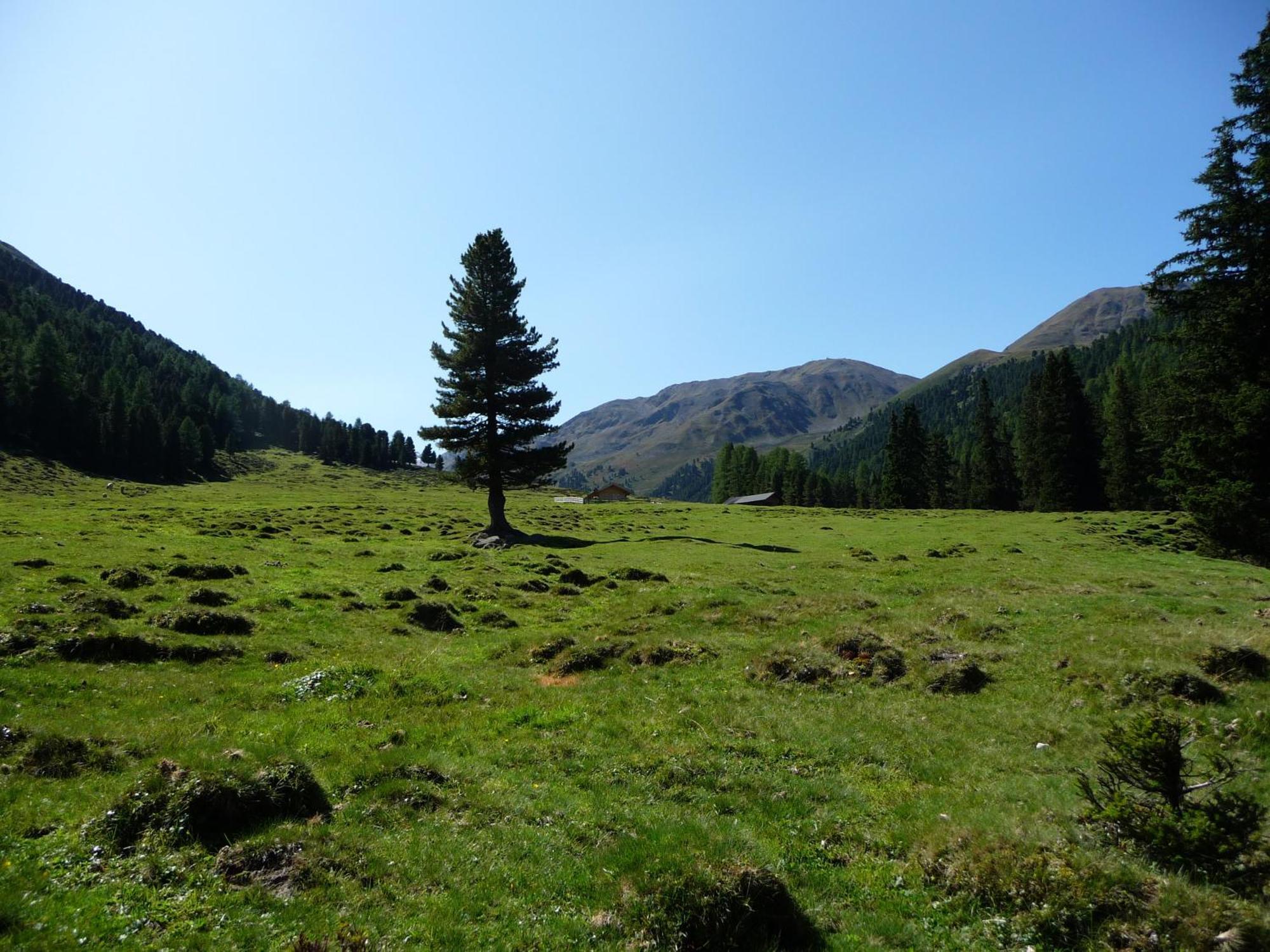 Apart Piz Mondin Pfunds Buitenkant foto
