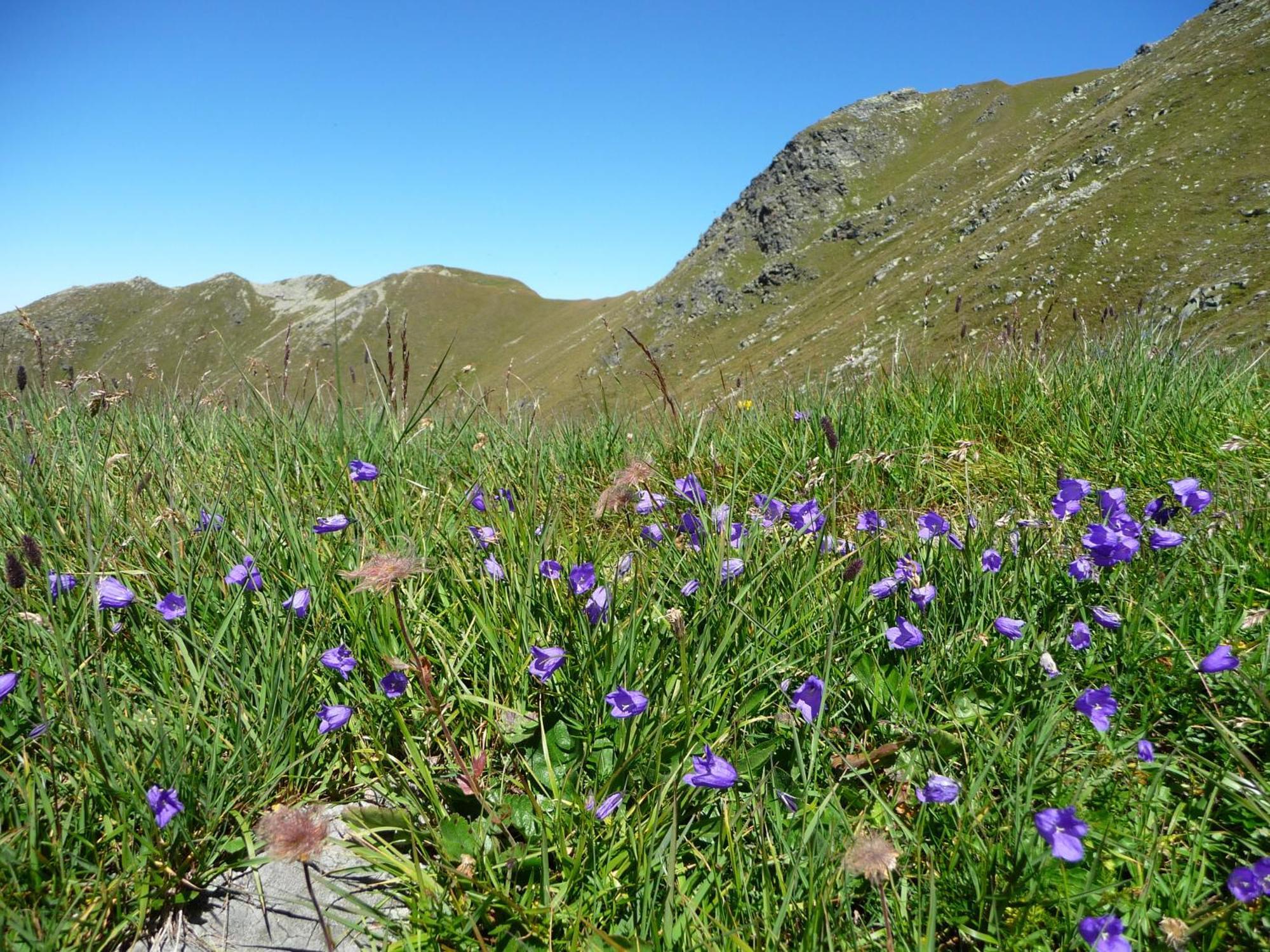 Apart Piz Mondin Pfunds Buitenkant foto